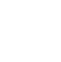 Zarrin Holding, Zarrin Company